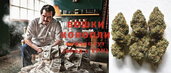 шишки Алексеевка