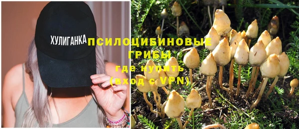 шишки Алексеевка