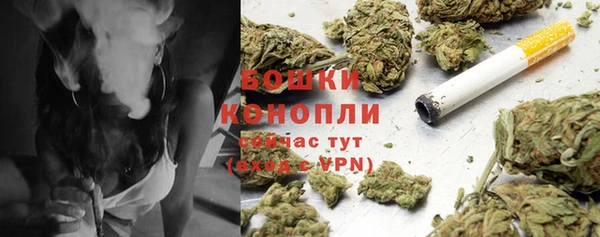 шишки Алексеевка
